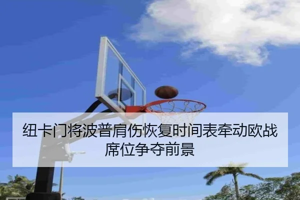纽卡门将波普肩伤恢复时间表牵动欧战席位争夺前景